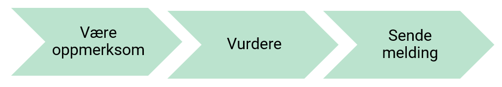 Prosessen fra bekymring til melding kan beskrives i tre faser: 1. Være oppmerksom 2. Vurdere 3. Sende melding
